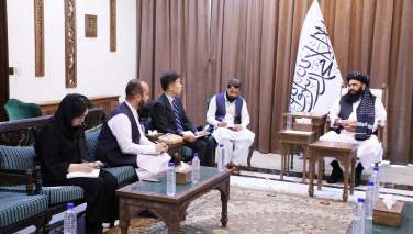 جاپان ده میلیون دالر برای معیشت بدیل در افغانستان کمک کرد