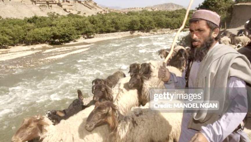 طالبان برای حضور کوچی ها در مناطق شمال و مرکز افغانستان زمینه‌چینی می‌کنند